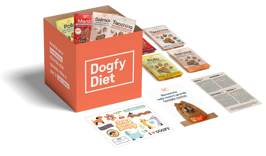 Box di prova di dieta Dogfy Diet