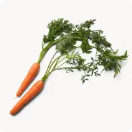 Zanahorias